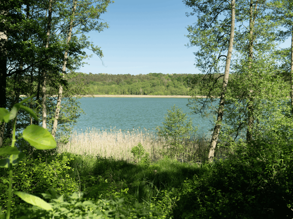 Kein Titel (1350 x 1080 px)-2